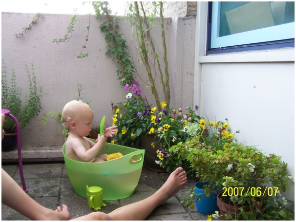 584x433 pixels (227K)